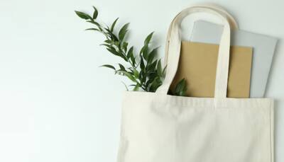 The Perfect Tote Bags for Women: Style, Space, and Elegance Combined