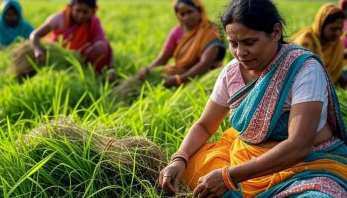 Budget 2025: Kisan Credit Card Loan Limit Raised To Rs 5 Lakh