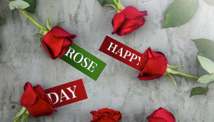 Happy Rose Day 2025: 20 WhatsApp Wishes, Greetings, Messages, Images To Share With Your Loved Ones