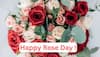 Rose Day 2025: The Meaning Behind Different Rose Colours And What They Symbolize In Love