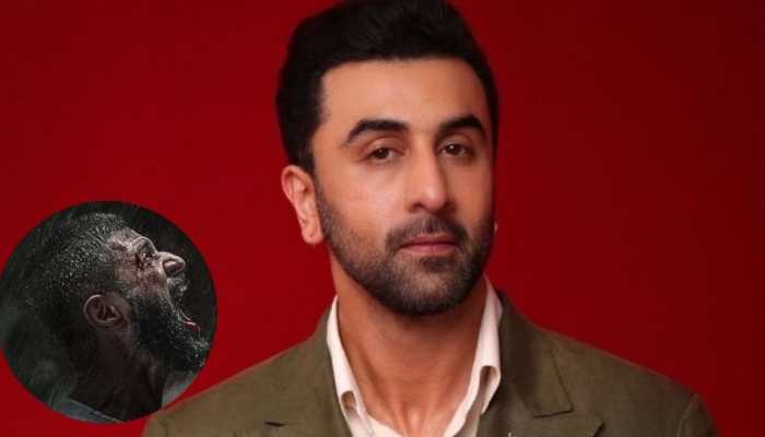 VD12 TEASER : Ranbir Kapoor’s Voice-Over In Vijay Deverakonda’s Film Creates Buzz, Title Reveal On THIS Date! VD12 TEASER : Ranbir Kapoor’s Voice-Over In Vijay Deverakonda’s Film Creates Buzz, Title Reveal On THIS Date!