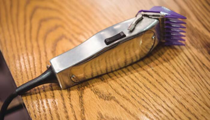 Best Trimmers to Elevate Your Style at the Myntra Fashion Carnival Sale