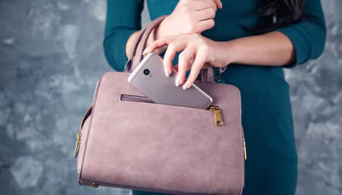 Myntra Fashion Carnival Sale: Must-Have Handbags for Every Occasion
