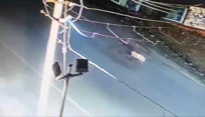 Leopard Crossing Road Collides With Milkman In Viral Video, Then...