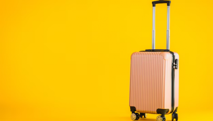 The Ultimate Travel Upgrade: Trolley Bags to Buy During the Myntra Fashion Carnival Sale The Ultimate Travel Upgrade: Trolley Bags to Buy During the Myntra Fashion Carnival Sale