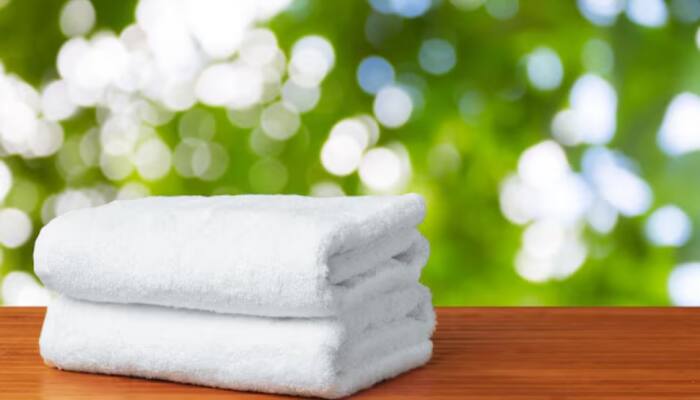 Wrap Up in Style: Top 4 Towels to Grab During Myntra's Fashion Carnival Sale