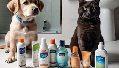 The Pet Shampoo Buying Guide Every Owner Needs