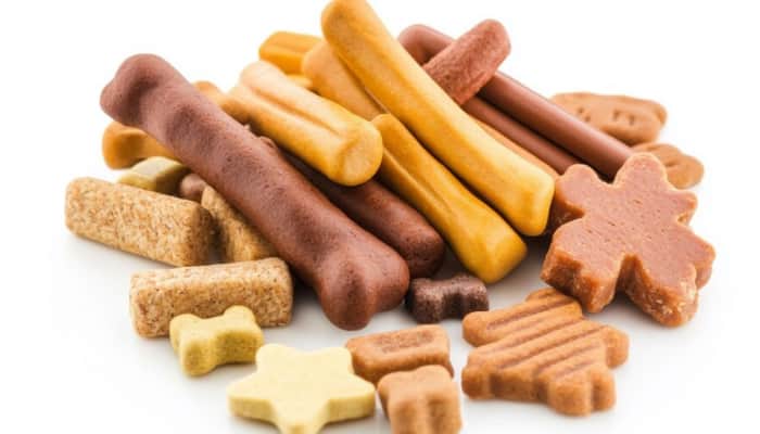 Buying the Best Dog Treats: A Guide to Healthy & Tasty Choices