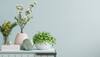 Shop these Top Home Decor Products to Elevate Your Space