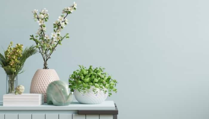 Shop these Top Home Decor Products to Elevate Your Space