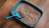 Decoding Cat Litter: A Comprehensive Buyer's Guide