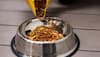 Dry Dog Food Buying Guide: Nourishing Your Canine Companion