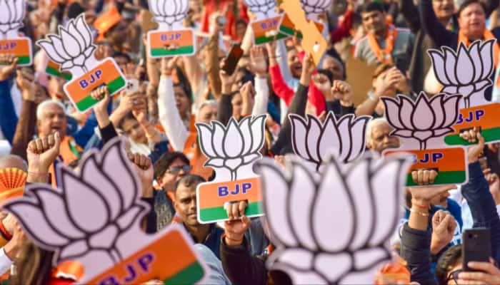 Gujarat Local Body Elections: BJP Establishes Strong Lead; Counting Continues