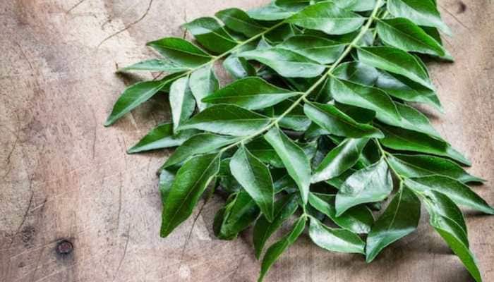 How To Use Kadi Patta (Curry Leaves) For Faster Hair Growth And Stronger Hair