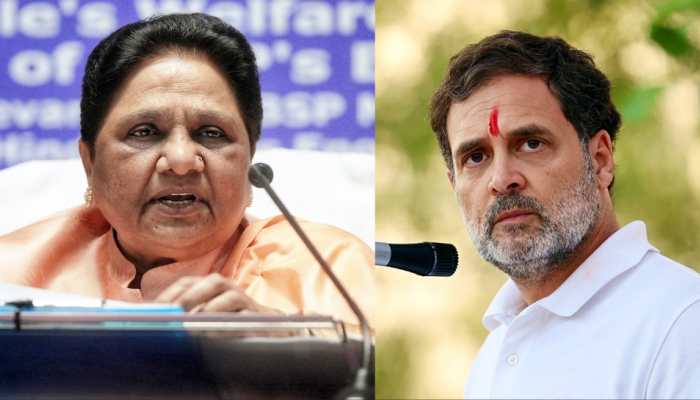'Look Within Yourself Before...': Mayawati Launches Fresh Attack On Rahul, Congress; Warns BJP