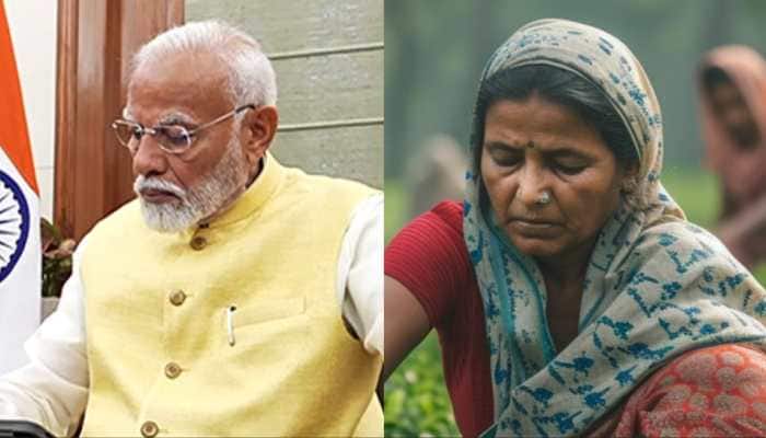 PM Kisan 19th Installment: How To Check Your Name In Beneficiary List