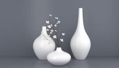 Shop these Best Decorative Flower Vases for a Stylish Home