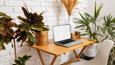 Laptop Tables: Your Guide to Comfort and Productivity