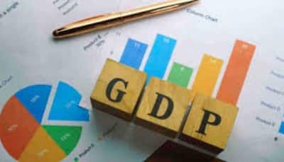 "Worst Seems To Be Behind," Indian Economy Shows Signs Of Recovery: BNP Paribas Report 