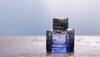 Woody Fragrance