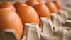 egg prices
