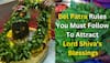 Maha Shivratri 2025: Bel Patra Rules You Must Follow To Attract Lord Shiva’s Blessings And Avoid THESE Common Mistakes