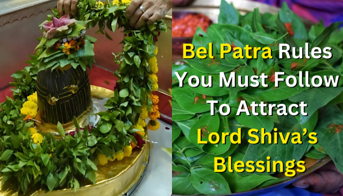 Maha Shivratri 2025: Bel Patra Rules You Must Follow To Attract Lord Shiva’s Blessings And Avoid THESE Common Mistakes Maha Shivratri 2025: Bel Patra Rules You Must Follow To Attract Lord Shiva’s Blessings And Avoid THESE Common Mistakes