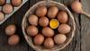 US Egg Prices Soar To Record Highs Amid Bird Flu Crisis: Shortages Hit Retailers And Restaurants