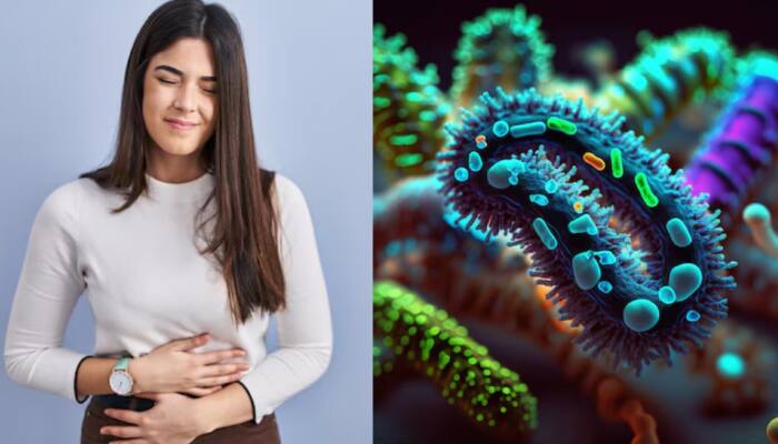 Study Reveals How Gastric Bacteria Leakage Triggers Stomach Cancer Progression