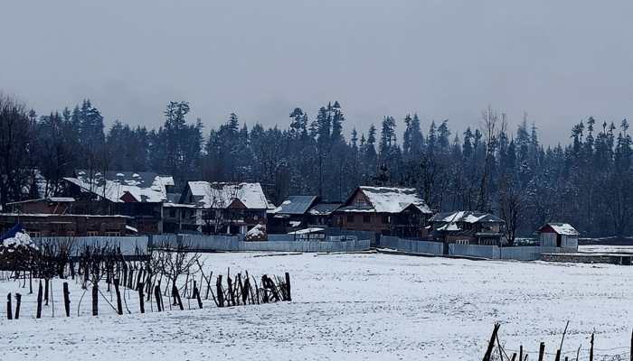 After Months Of Dry Spell, Kashmir Welcomes Fresh Rain And Snow, Providing Relief To People After Months Of Dry Spell, Kashmir Welcomes Fresh Rain And Snow, Providing Relief To People