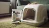 From Kittens to Seniors: Litter Box Considerations for Every Age