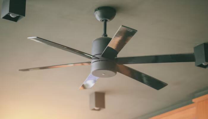 Buy these Best High-Performance Ceiling Fans for Every Home