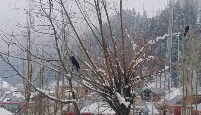Heavy Snowfall In Kashmir Valley, Rains Lash Plains; IMD Issues Yellow Aler
