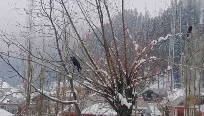 Heavy Snowfall In Kashmir Mountains, Rains Lash Plains; IMD Issues Yellow Alert