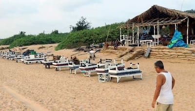 Goa Tourism Crisis: BJP Minister Blames 'Idli-Sambar', 'Vada Pao', 'Stray Dogs' - Read