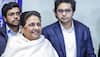 BSP Chief Mayawati Expels Nephew Akash Anand From All Posts Of Party