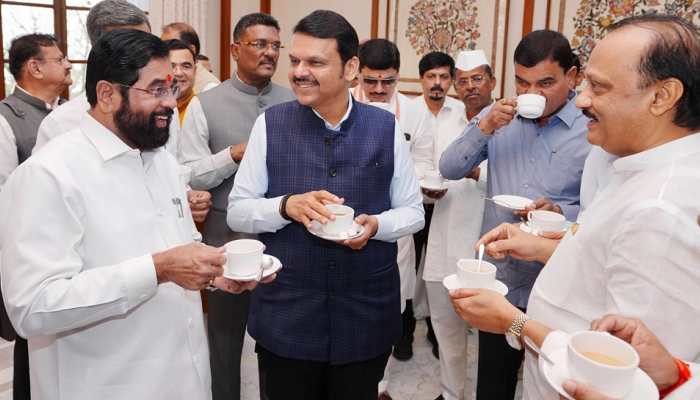 Rift Or No Rift? Fadnavis, Shinde's Show Of Unity Ahead Of Maharashtra Budget Session