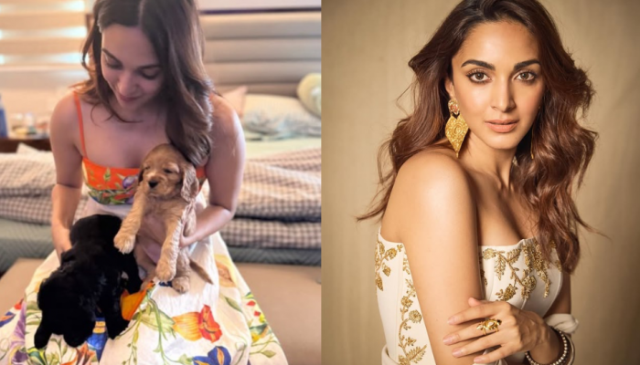 Mom-to-Be Kiara Advani Shares Adorable Moment With Puppies, Flaunts Her Pregnancy Glow – See Pic Mom-to-Be Kiara Advani Shares Adorable Moment With Puppies, Flaunts Her Pregnancy Glow – See Pic