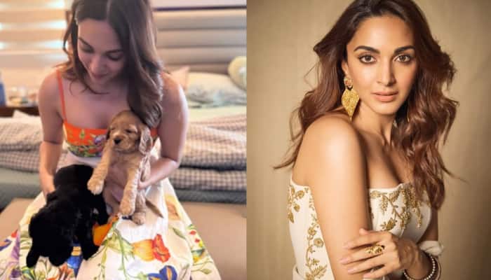 Mom-to-Be Kiara Advani Shares Adorable Moment With Puppies, Flaunts Her Pregnancy Glow – See Pic