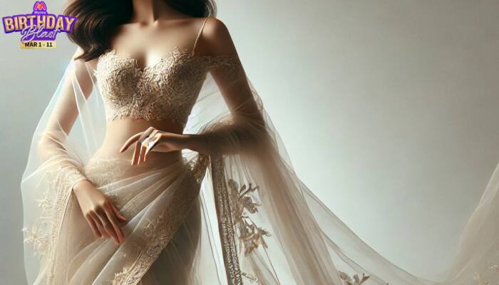 Myntra Birthday Blast Sale: Top 4 Organza Sarees