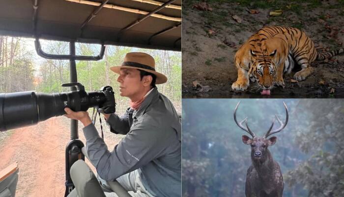 Randeep Hooda Celebrates World Wildlife Day With Stunning Wildlife Photography, See PICS
