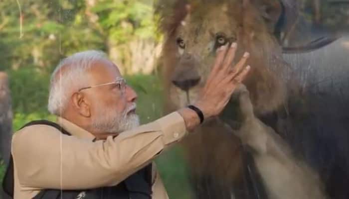 PM Modi Inaugurates Vantara: A Wildlife Rescue And Conservation Centre