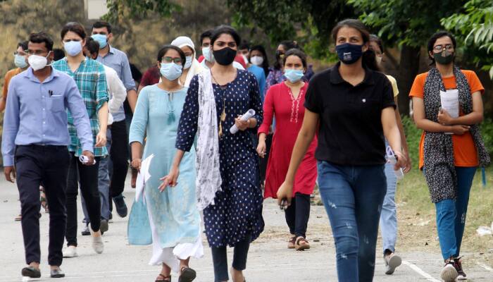 SBI Clerk Prelims Result 2025 To Be OUT SOON At sbi.co.in- Details Here