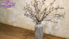 Myntra Birthday Blast Sale: Up to 70% Off on Beautiful Flower Vases