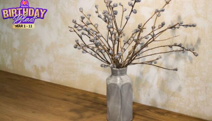 Myntra Birthday Blast Sale: Up to 70% Off on Beautiful Flower Vases