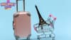 secure travel bags