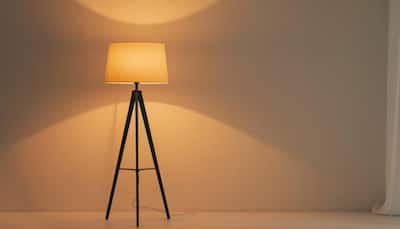 Brighten Your Home: Stylish Floor Lamps at Unbeatable Holi Sale Prices