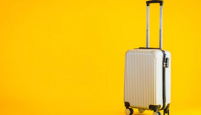 The Ideal Travel Buddy: Best Trolley Bags on Flipkart for Any Adventure