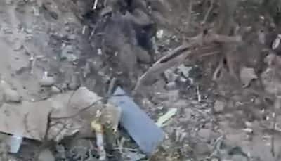 IAF Jaguar Fighter Jet Crashes In Haryana: Court Of Inquiry Ordered, Says IAF