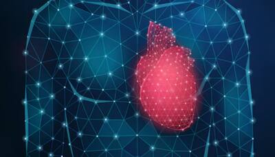 Breakthrough In Heart Regeneration: Scientists Discover New Way To Heal Failing Hearts